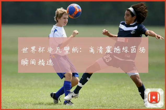 世界杯非凡壁纸:高清震撼绿茵场瞬间精选