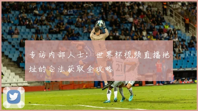 专访内部人士:世界杯视频直播地址的合法获取全攻略