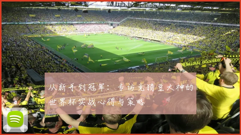 从新手到冠军:专访竞猜豆大神的世界杯实战心得与策略