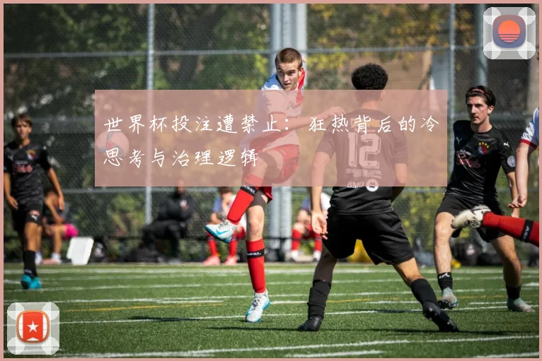 世界杯投注遭禁止：狂热背后的冷思考与治理逻辑